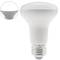 LED bulb R63 E27 230VAC 8W daylight