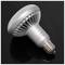 230VAC LED Bulb E27 11W R90 warm light