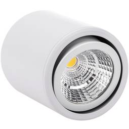 Reflektor powierzchniowy LED z ruchomą głowicą Lampa COB 7W 220VAC 3000K biała 75mm