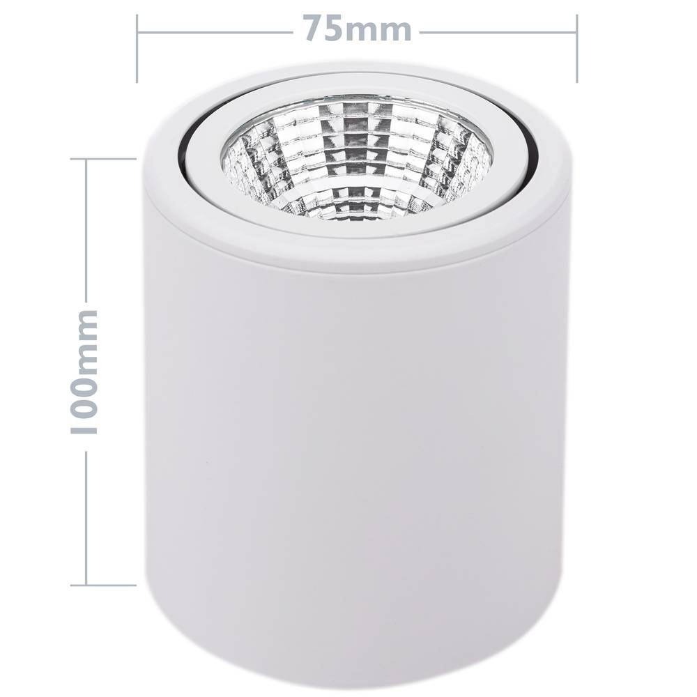 Projecteur de surface LED avec lampe COB tête mobile 7W 220VAC 3000K blanc 75mm