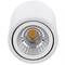 Projecteur de surface LED avec lampe COB tête mobile 7W 220VAC 3000K blanc 75mm