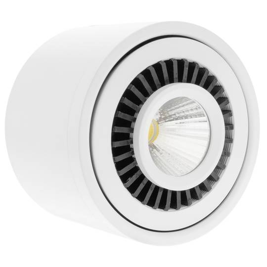Surface LED spotlight COB lamp 20W 220VAC 6000K white 110mm