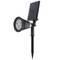 Focus LED Solar IP44 2W 200LM amb estaca per exterior