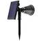 Focus LED Solar IP44 2W 200LM amb estaca per exterior