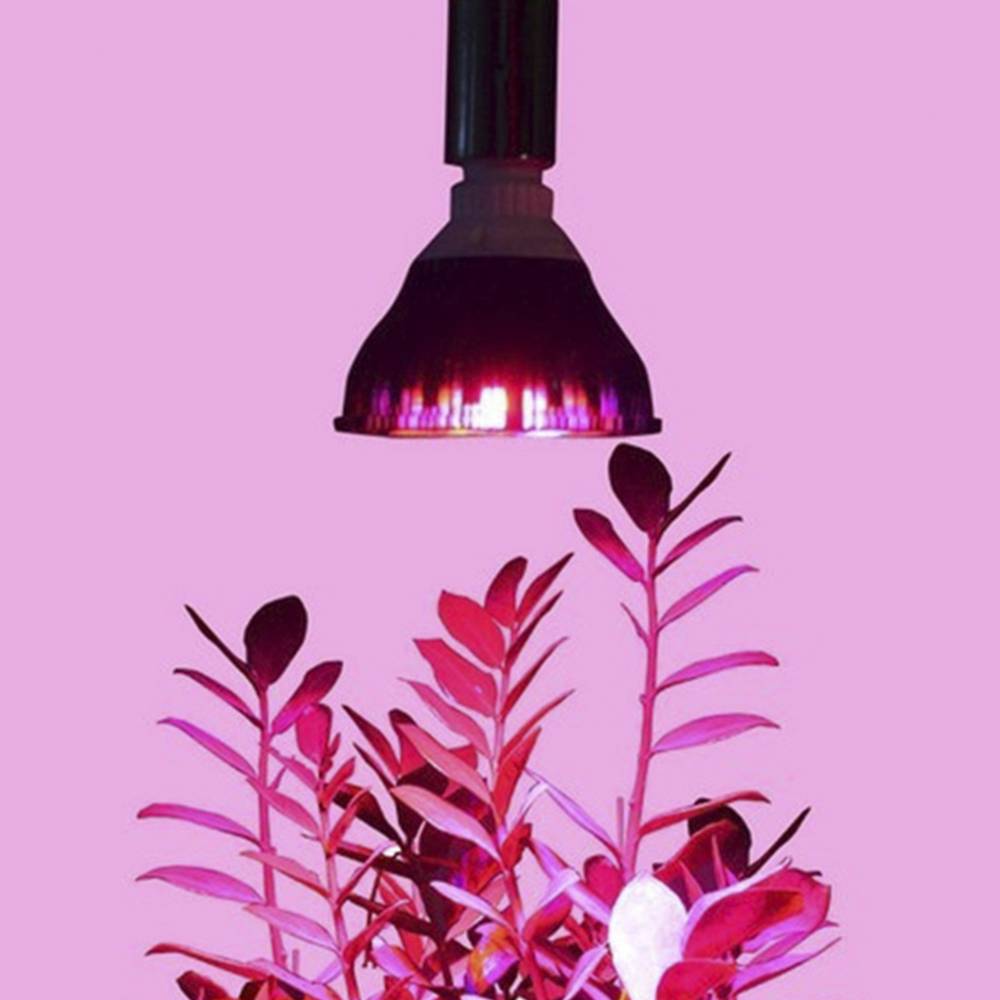 Żarówka LED do uprawy roślin 12W 12x1W E27 PAR38