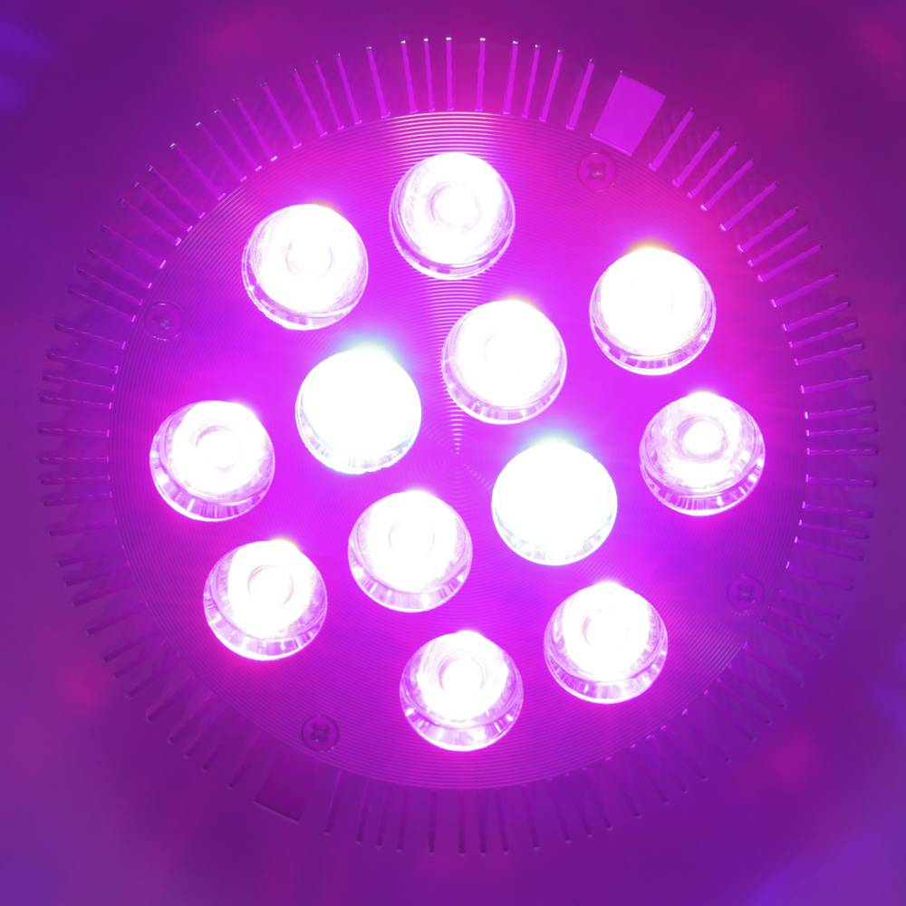 Żarówka LED do uprawy roślin 12W 12x1W E27 PAR38