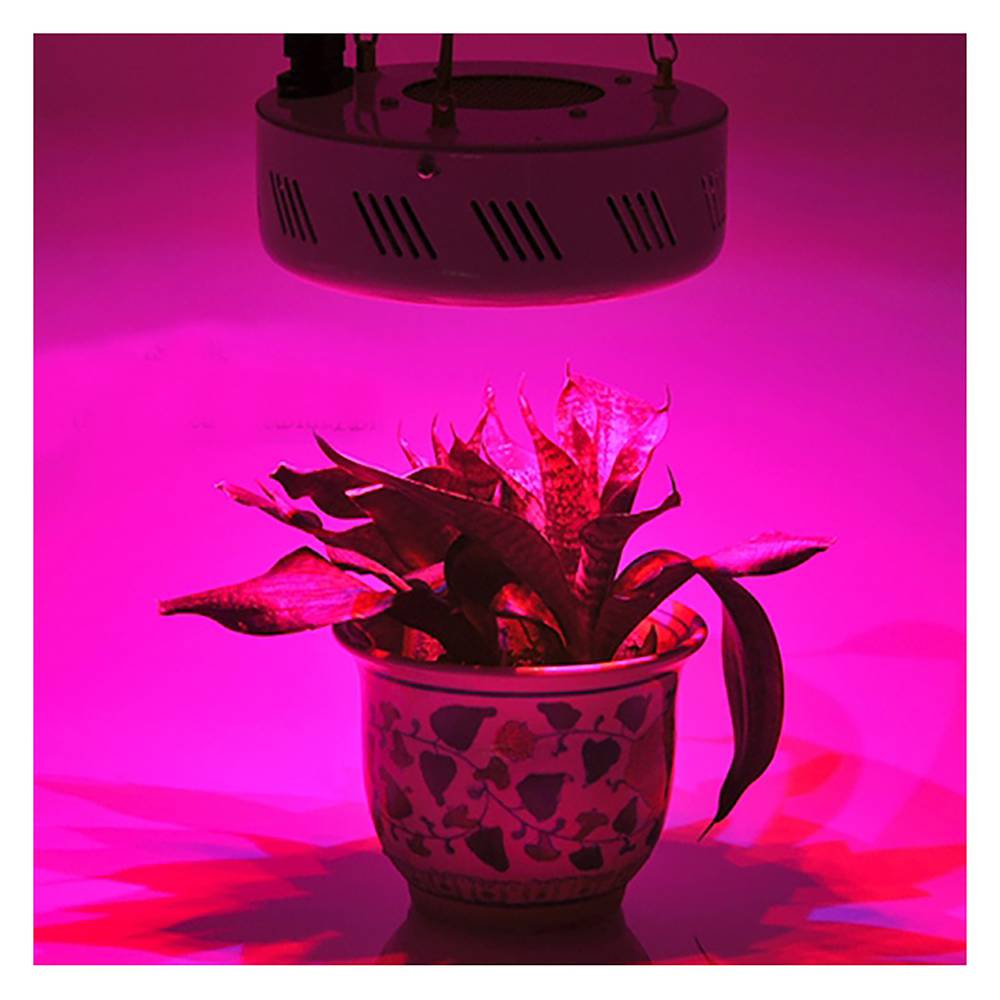 Lámpara LED plantas 50W 50xLED 175x60mm