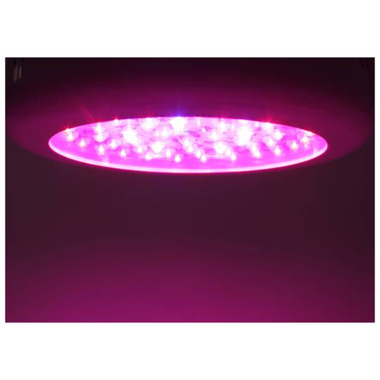 Lámpara LED plantas 50W 50xLED 175x60mm