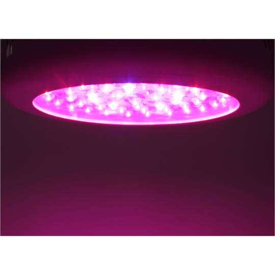 150W LED Pflanzenlampe 50xLED 270x60mm