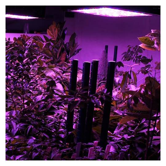 LED-Lampe 112W für Pflanzen 112xLED 420x212x62mm
