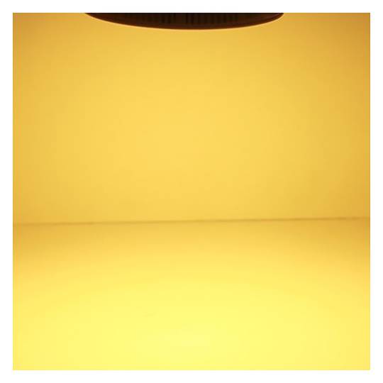 Circulaire du panneau LED 6W Spot 120mm blanc chaud