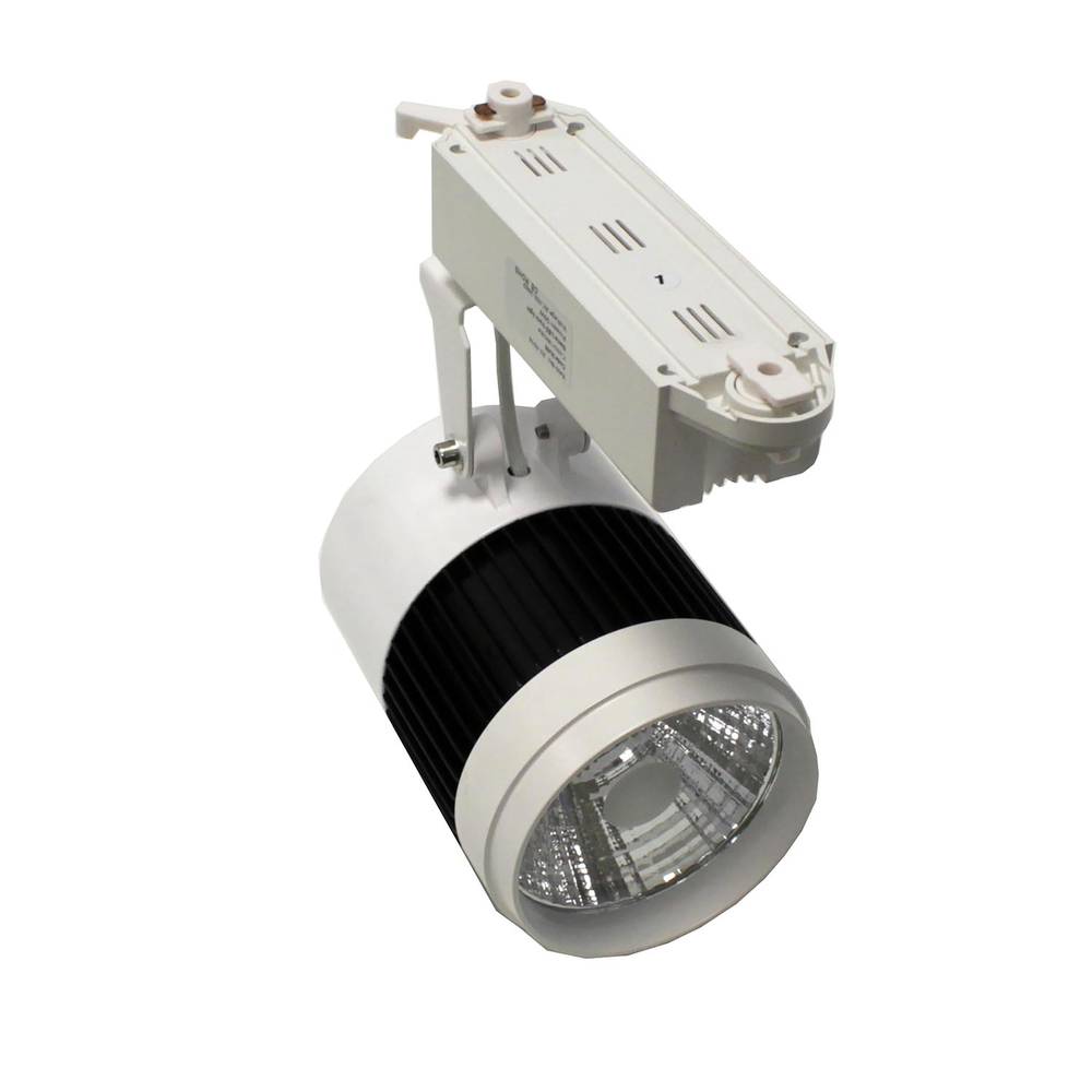 Messa a fuoco 30W ferroviario LED cool white nero 110x165x220mm bianco