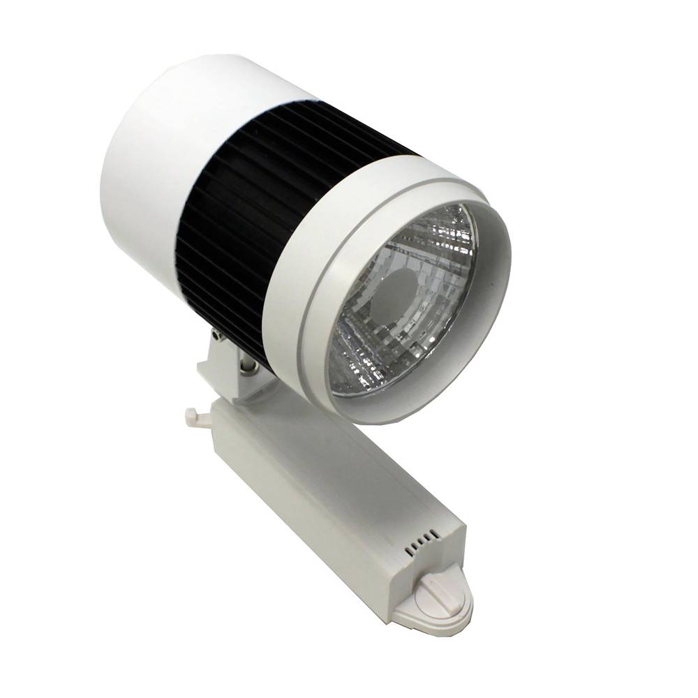 Messa a fuoco 30W ferroviario LED cool white nero 110x165x220mm bianco