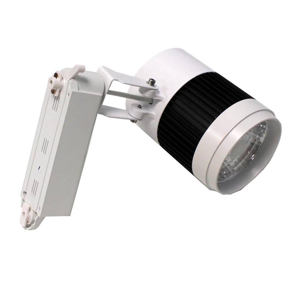 Messa a fuoco 30W ferroviario LED cool white nero 110x165x220mm bianco