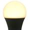 Lâmpada LED G70 E27 230VAC 9W luz quente 3000K