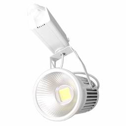 Biała lampa punktowa LED COB 20W 3000K 115x168mm
