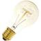 Edison incandescent filament bulb E27 40W 220VAC 60 x 108 mm