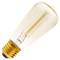Edison lâmpada incandescente de filamento E27 220VAC 25W 48x107mm ST48