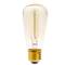 Bombeta Edison de filaments incandescents E27 220VAC 40W 48x107mm ST48