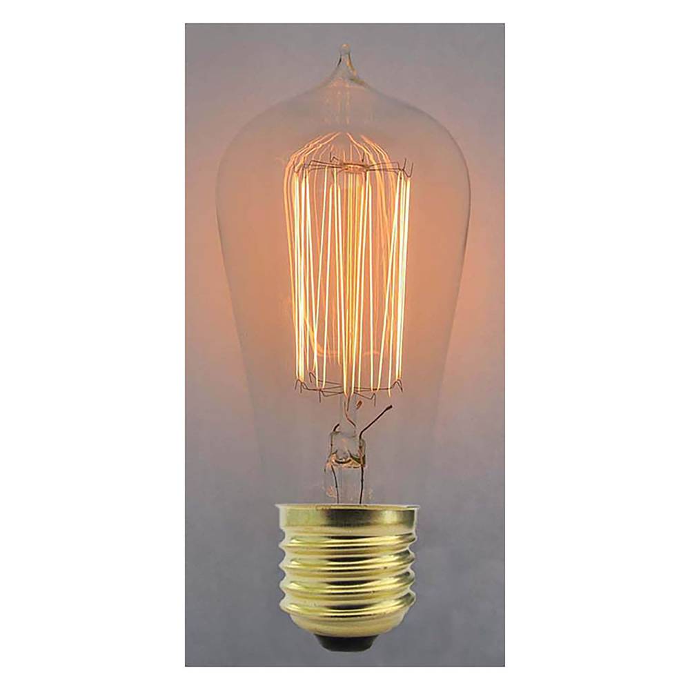 Edison incandescent filament bulb E27 25W 220VAC ST64 tip 64x146mm