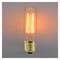 Edison incandescenza filamento E27 40W 220VAC T32 parallelo 32x129mm