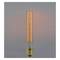 Gloeilamp Edison-gloeilamp E27 220VAC 40W 30x185mm T30 parallel