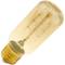 Edison bulb of incandescent filaments E27 220VAC 40W 38x103mm T45