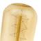 Edison bulb of incandescent filaments E27 220VAC 40W 38x103mm T45