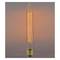 Edison incandescent filament bulb E27 220VAC 25W T30 30x185mm