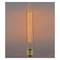 Edison ampoule à filament incandescent E27 40W 220VAC T30 30x185mm