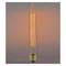 Bombeta Edison de filaments incandescents E27 220VAC 40W 30x300mm T30