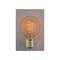 Edison incandescent filament bulb E27 25W 220VAC coil G80 80x118mm