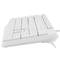 Clavier USB espagnol Natec Nautilus slim blanc NKL-1949