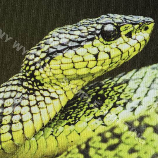 Estoreta mouse pad Natec Printable blanca 250X210MM NPP-0937