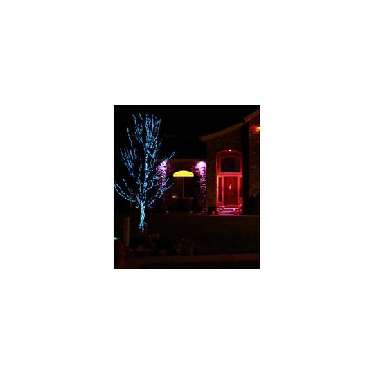 Marineblau Elektrolumineszenz-Drahtspule 2.3mm 10m bis 220VAC angeschlossen