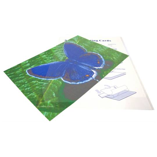 Funda autoadhesiva para plastificación de 210 x 297 mm (3 uds)