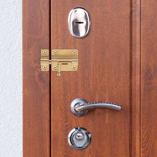 Lot de 5 unités de pênes renforcés pour portes 50 mm couleur bronze