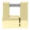 Security padlock with bayonette trailer coupler lock