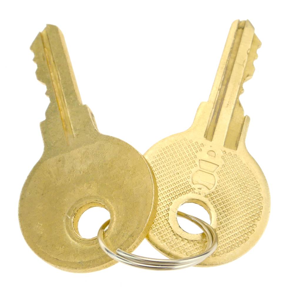 Security padlock with bayonette trailer coupler lock