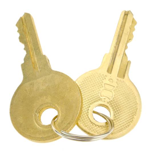 Security padlock with bayonette trailer coupler lock