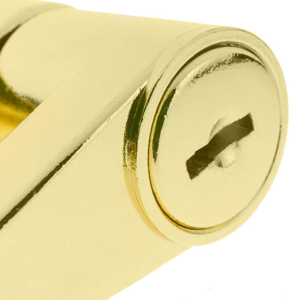 Security padlock with bayonette trailer coupler lock