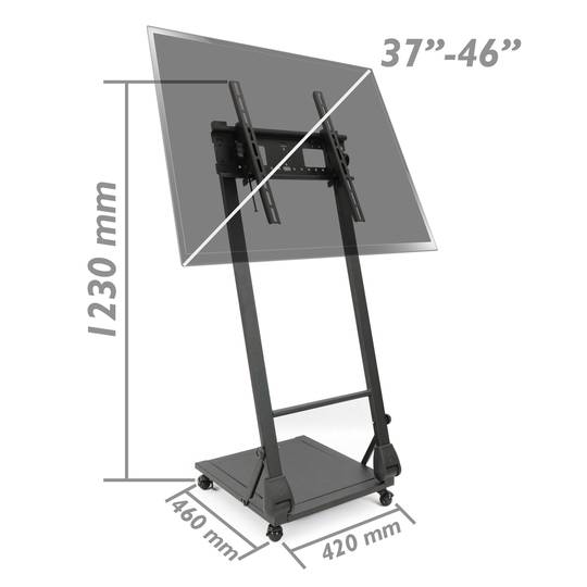 Support de TV avec roues pour écran plat 37
