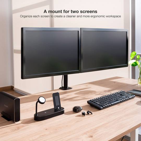 Supporto de 2 monitores con braccio articolato con albero per montaggio a scrivania LCD VESA75 VESA1