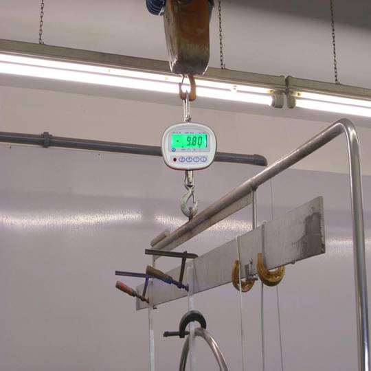 Balance suspendue PCE-CS 300