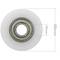 Roda para carrinho de paletes Rolo de nylon 80x60 mm 600 Kg