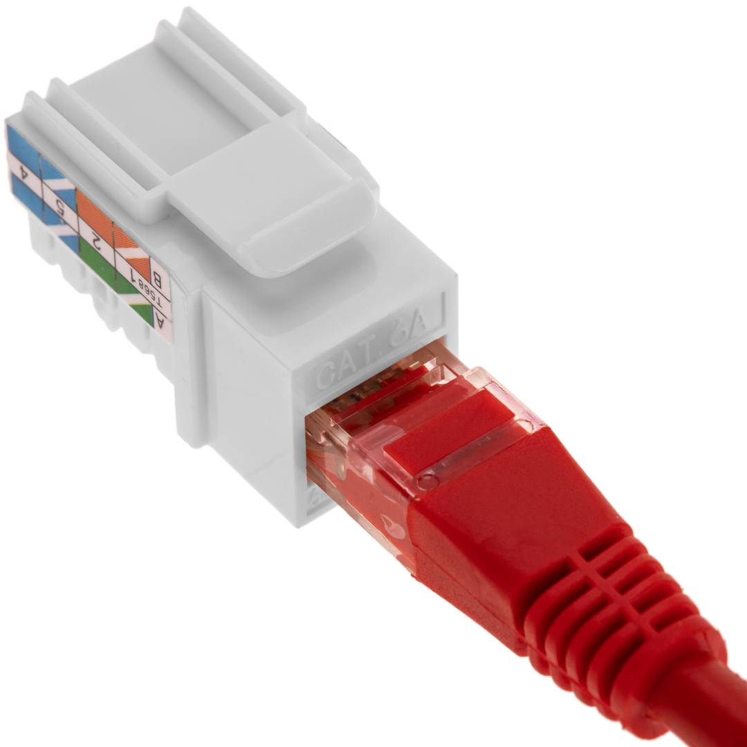 Gniazdo Keystone RJ45 TB110 kat. 6A UTP, opakowanie 6 sztuk