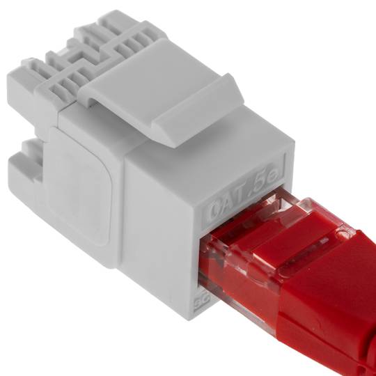 Keyston RJ45 femelle TB110 Cat.5e UTP pack de 6 unités