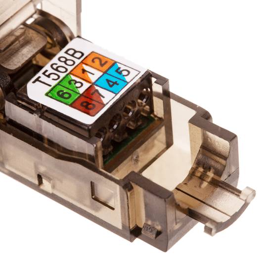 UTP Cat.6 RJ45 macho crimpagem automática pacote de 6 unidades