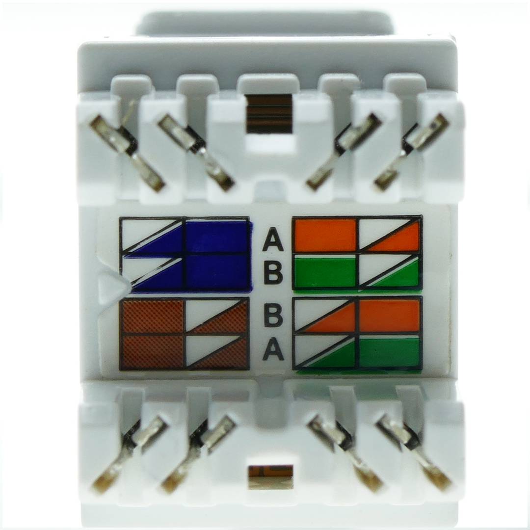 Keystone RJ45 Fêmea para TB110 (UTP Cat6 White)