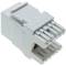 Keystone RJ45 Fêmea para TB110 (UTP Cat6 White)
